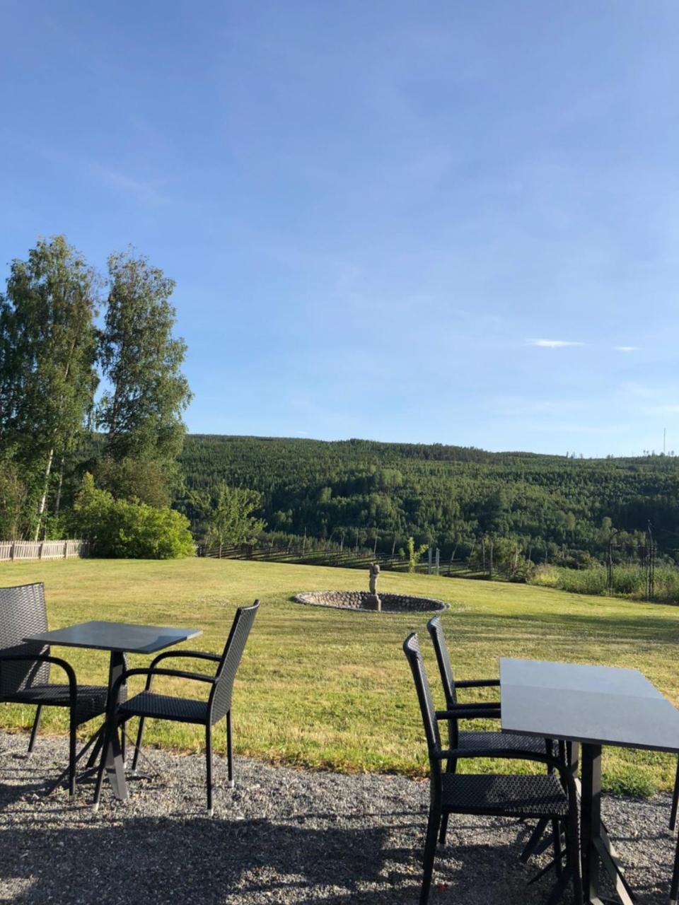 Hotell Restaurang Naemforsen Nasaker Exterior photo
